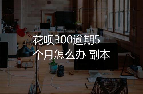 花呗300逾期5个月怎么办 副本