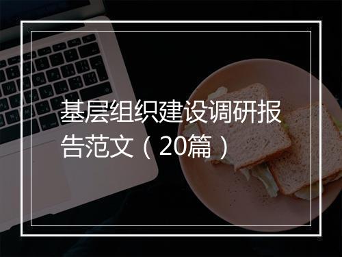 基层组织建设调研报告范文（20篇）