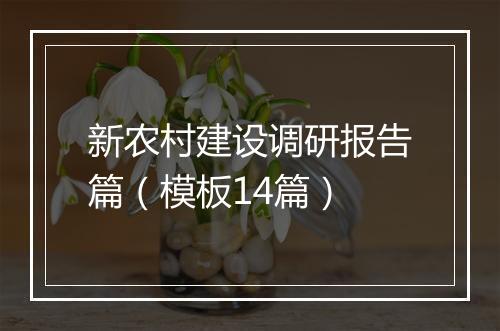 新农村建设调研报告篇（模板14篇）