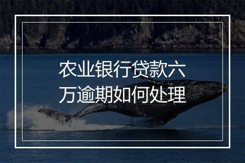 农业银行贷款六万逾期如何处理