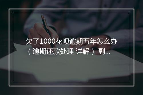 欠了1000花呗逾期五年怎么办（逾期还款处理 详解） 副本