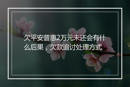 欠平安普惠2万元未还会有什么后果，欠款追讨处理方式
