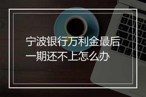 宁波银行万利金最后一期还不上怎么办