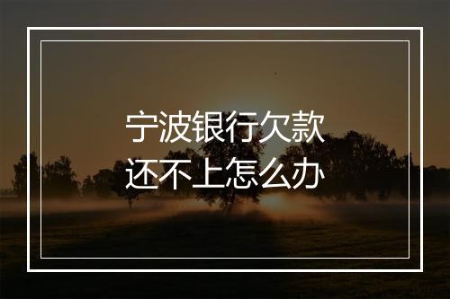 宁波银行欠款还不上怎么办