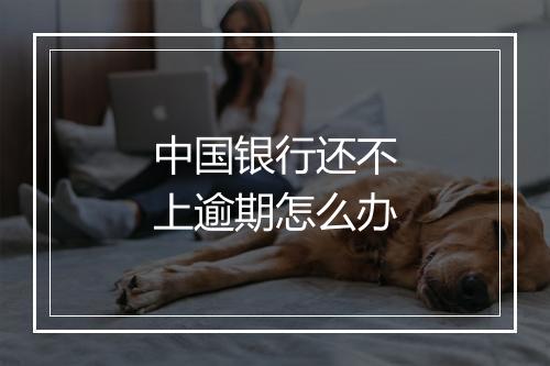 中国银行还不上逾期怎么办