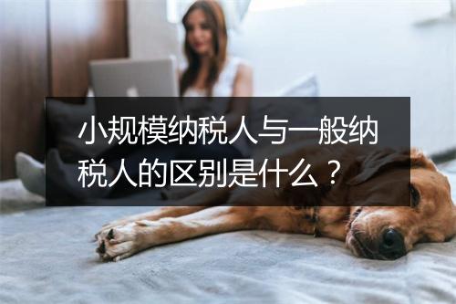 小规模纳税人与一般纳税人的区别是什么？