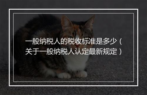 一般纳税人的税收标准是多少（关于一般纳税人认定最新规定）
