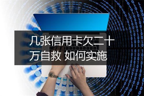 几张信用卡欠二十万自救 如何实施