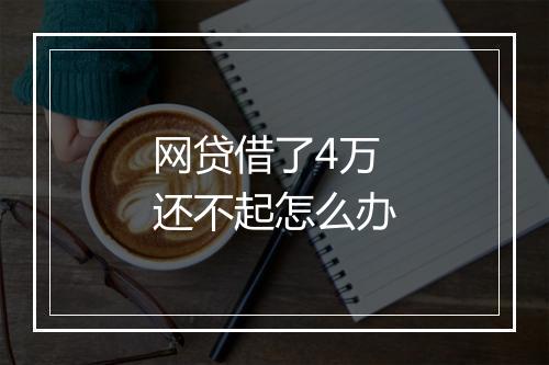 网贷借了4万还不起怎么办