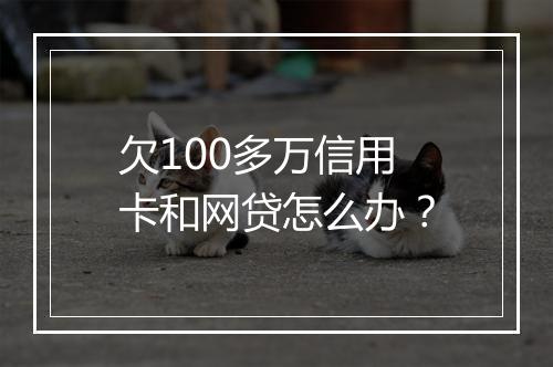 欠100多万信用卡和网贷怎么办？