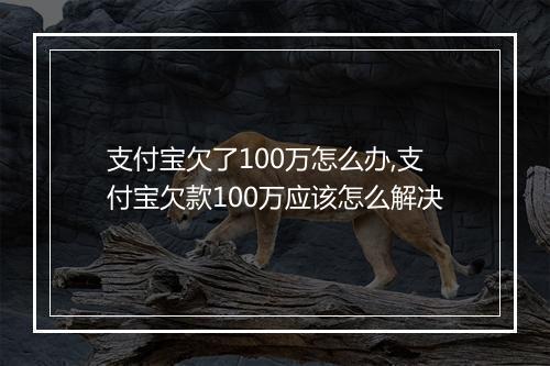 支付宝欠了100万怎么办,支付宝欠款100万应该怎么解决
