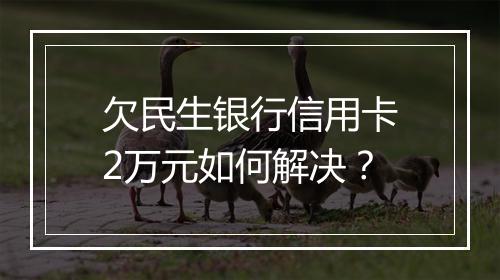 欠民生银行信用卡2万元如何解决？