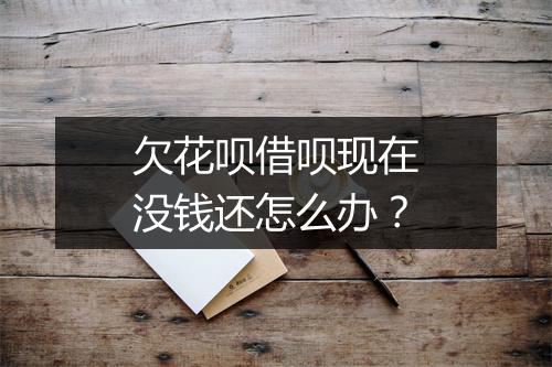 欠花呗借呗现在没钱还怎么办？