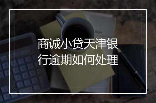 商诚小贷天津银行逾期如何处理
