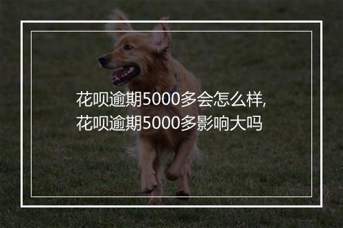 花呗逾期5000多会怎么样,花呗逾期5000多影响大吗
