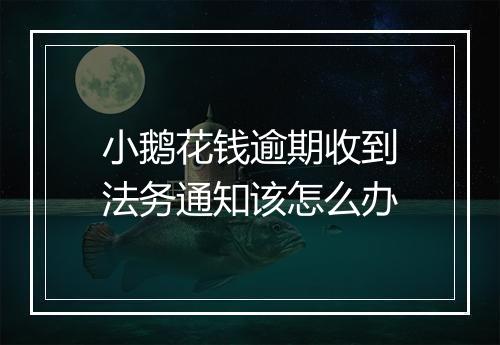 小鹅花钱逾期收到法务通知该怎么办