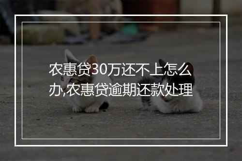 农惠贷30万还不上怎么办,农惠贷逾期还款处理