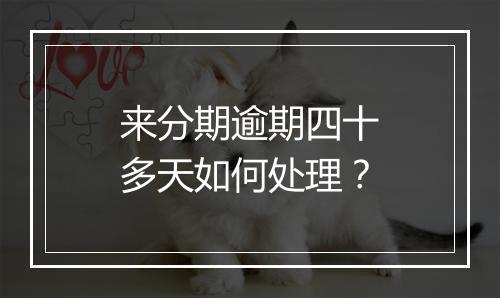 来分期逾期四十多天如何处理？
