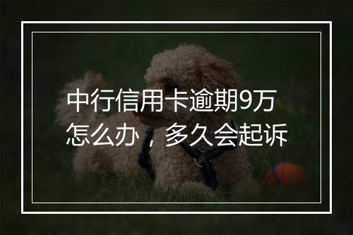 中行信用卡逾期9万怎么办，多久会起诉