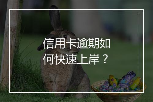 信用卡逾期如何快速上岸？