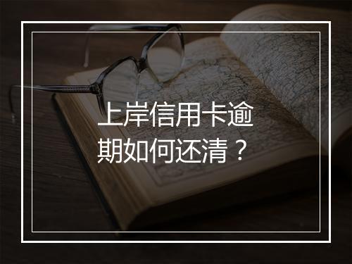 上岸信用卡逾期如何还清？