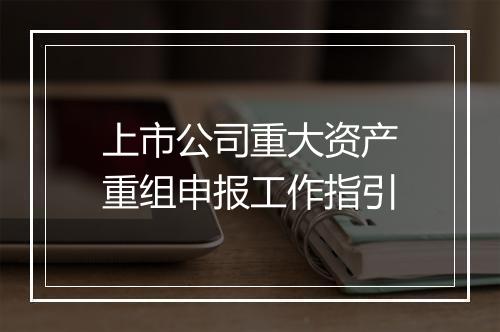 上市公司重大资产重组申报工作指引