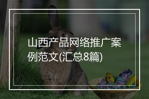 山西产品网络推广案例范文(汇总8篇)