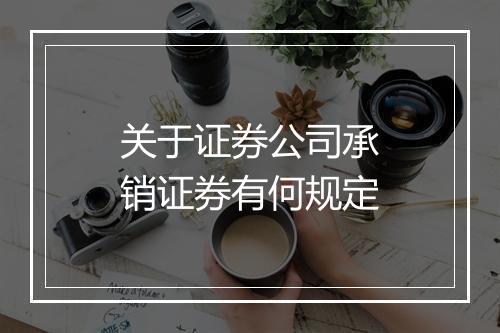 关于证券公司承销证券有何规定
