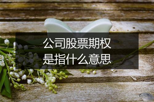 公司股票期权是指什么意思