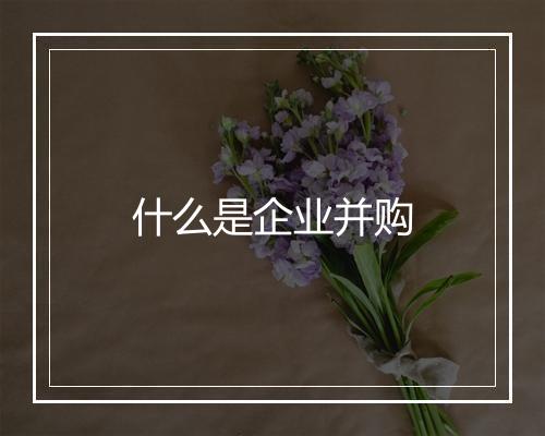 什么是企业并购