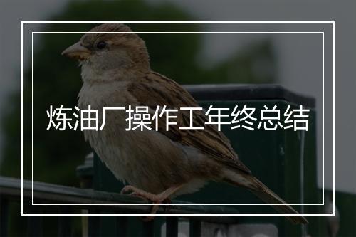 炼油厂操作工年终总结