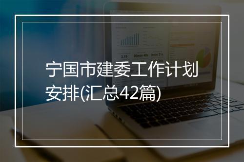 宁国市建委工作计划安排(汇总42篇)