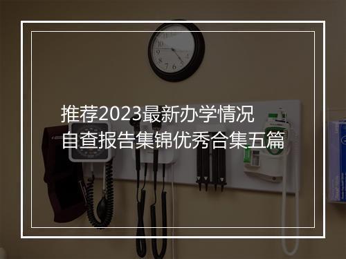 推荐2023最新办学情况自查报告集锦优秀合集五篇