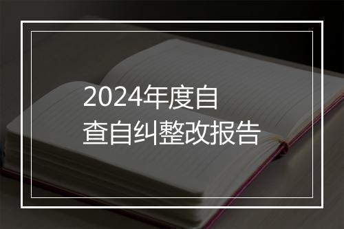 2024年度自查自纠整改报告