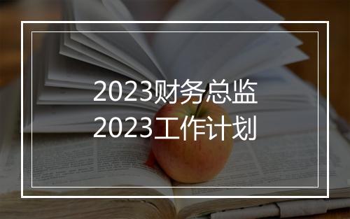 2023财务总监2023工作计划