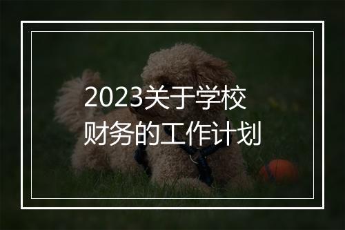 2023关于学校财务的工作计划