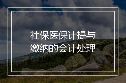 社保医保计提与缴纳的会计处理