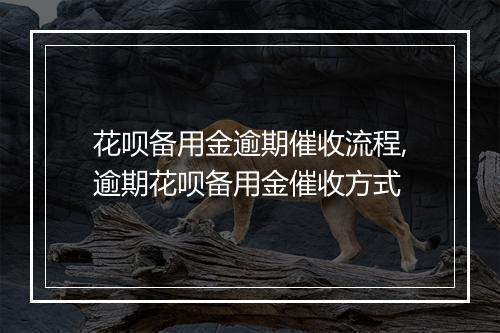 花呗备用金逾期催收流程,逾期花呗备用金催收方式