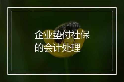 企业垫付社保的会计处理