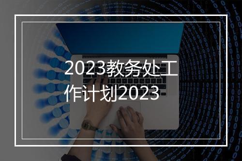 2023教务处工作计划2023
