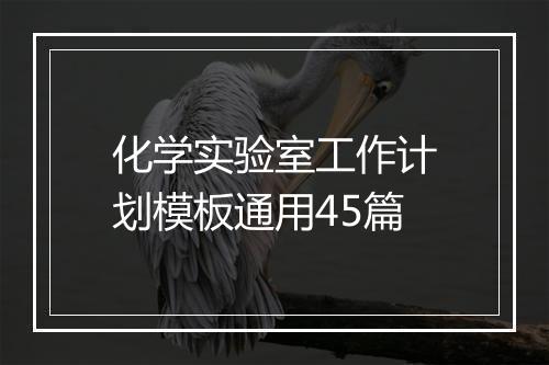 化学实验室工作计划模板通用45篇