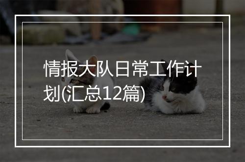 情报大队日常工作计划(汇总12篇)