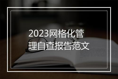 2023网格化管理自查报告范文