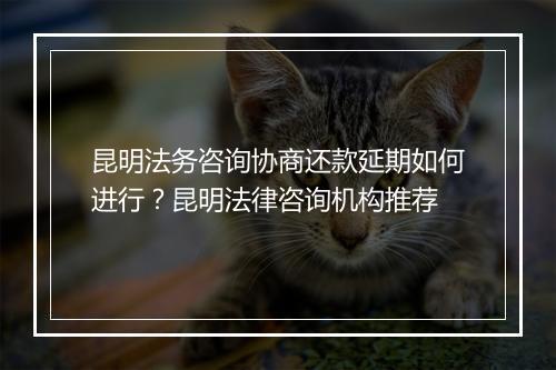 昆明法务咨询协商还款延期如何进行？昆明法律咨询机构推荐