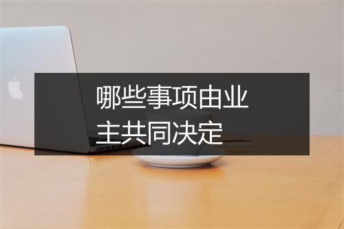 哪些事项由业主共同决定