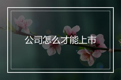 公司怎么才能上市