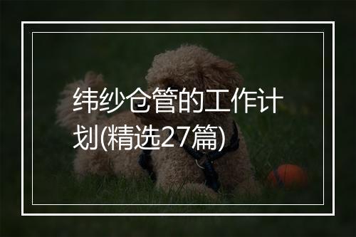 纬纱仓管的工作计划(精选27篇)
