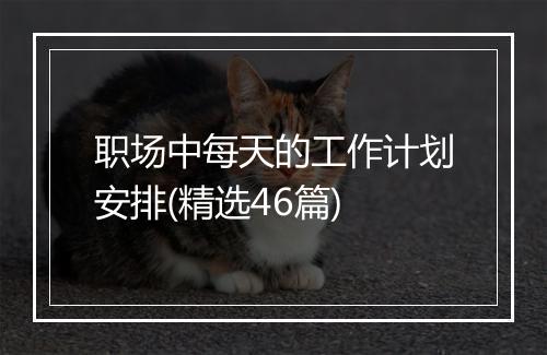 职场中每天的工作计划安排(精选46篇)
