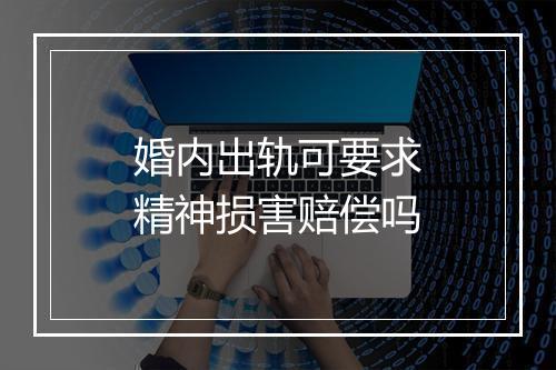 婚内出轨可要求精神损害赔偿吗