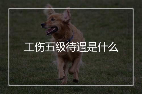 工伤五级待遇是什么